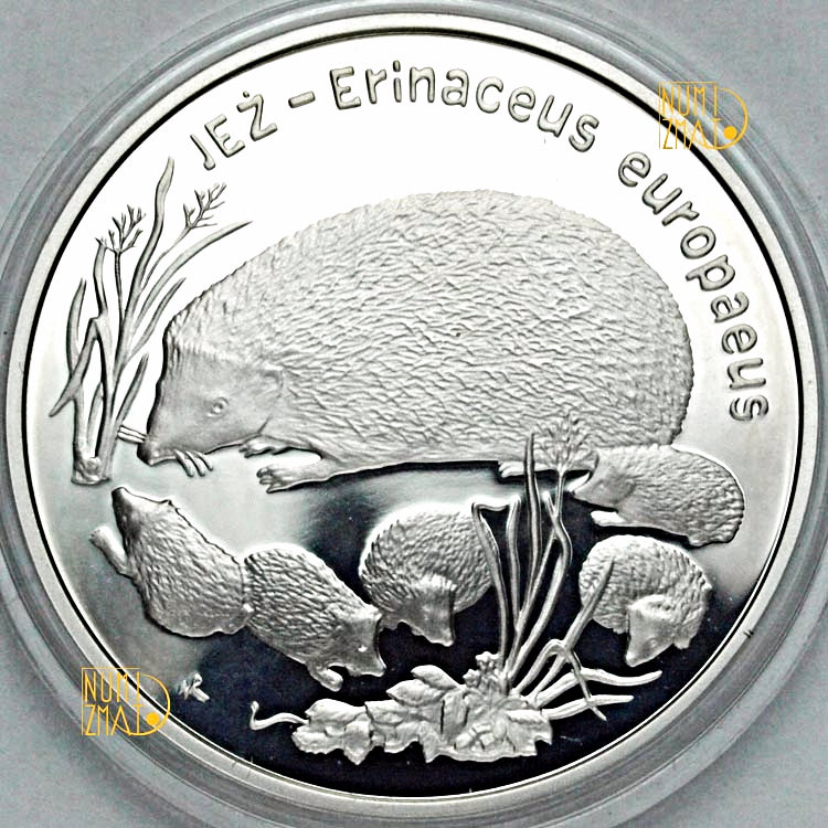 20 zł 1996 r. - Jeż Jeże (Erinaceus europaeus) - Zwierzęta Świata